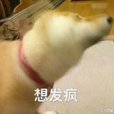 妍.