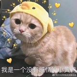大瑞瑞