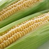 sweetcorn