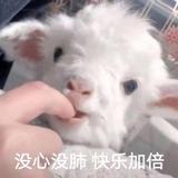 蛇凯文长城