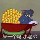 凹凸曼打小怪兽