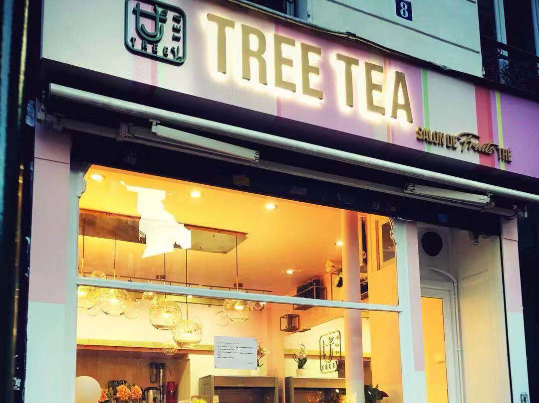 树茶 Tree Tea