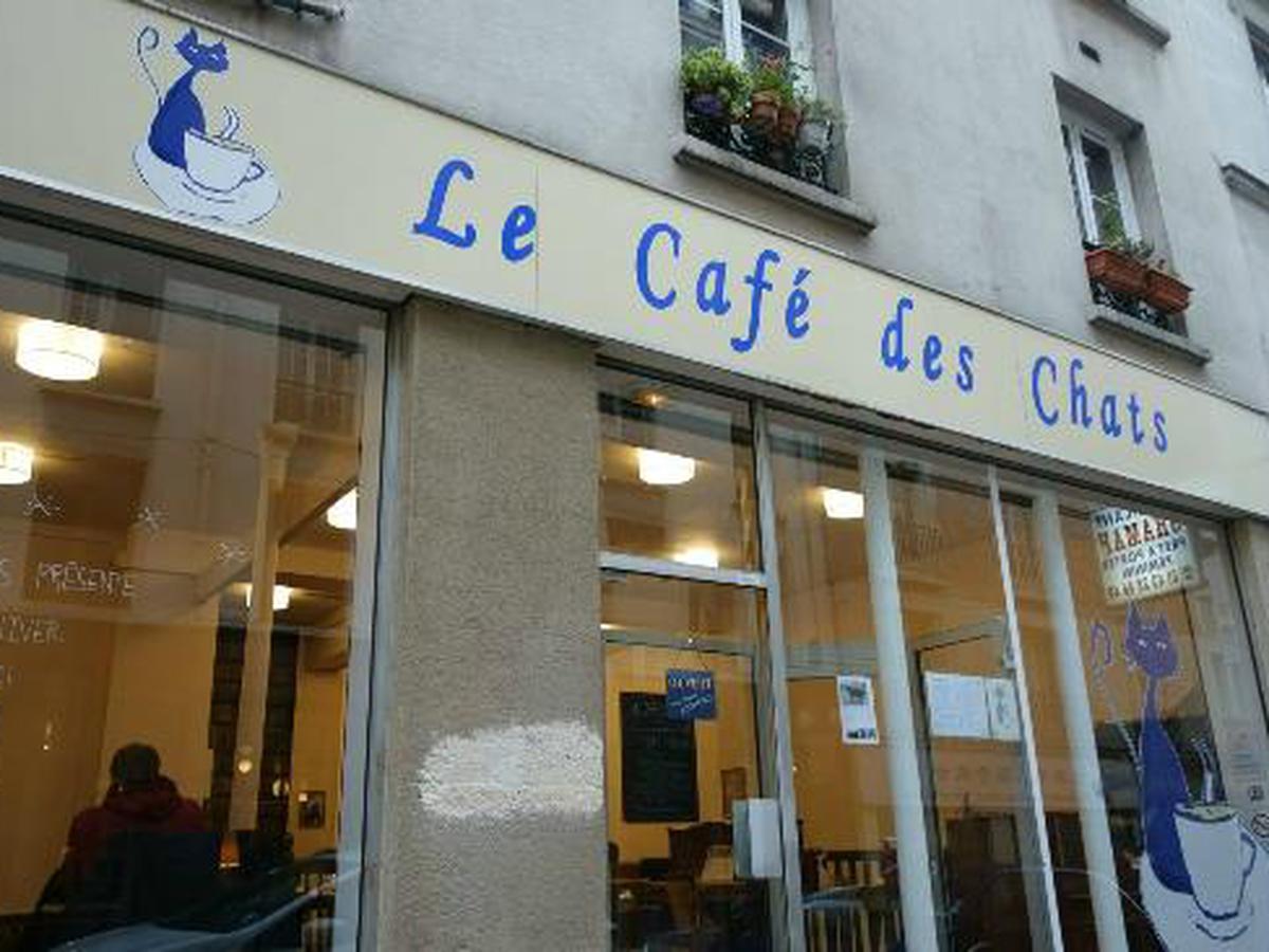 Le Café des Chats Bastille